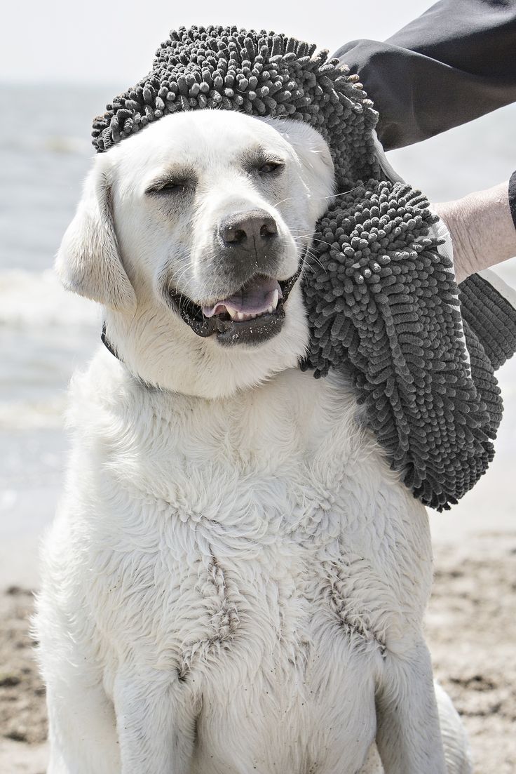 EnexBuy PetÉlite™ Ultra-Absorbent Drying Towel